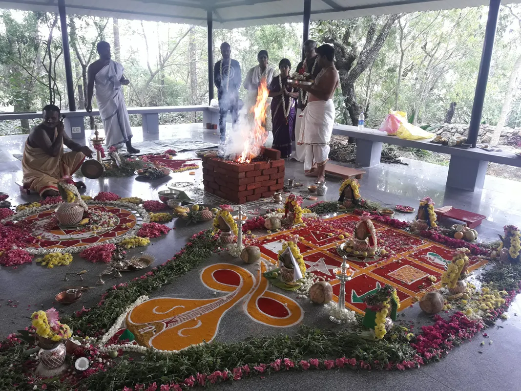 САРПА БАЛИ ПУДЖА 2025